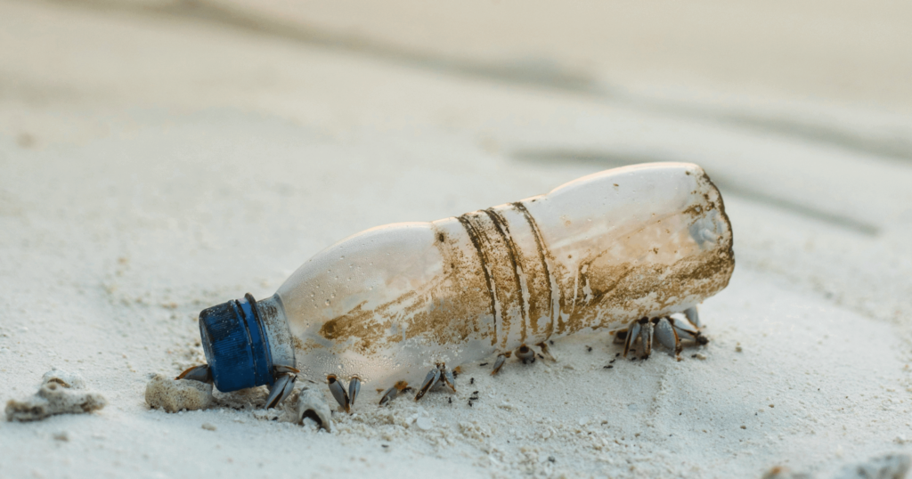 Plastic Crisis and the Advantages of Bioplastics: Sustainable Solutions 11 - Benviro