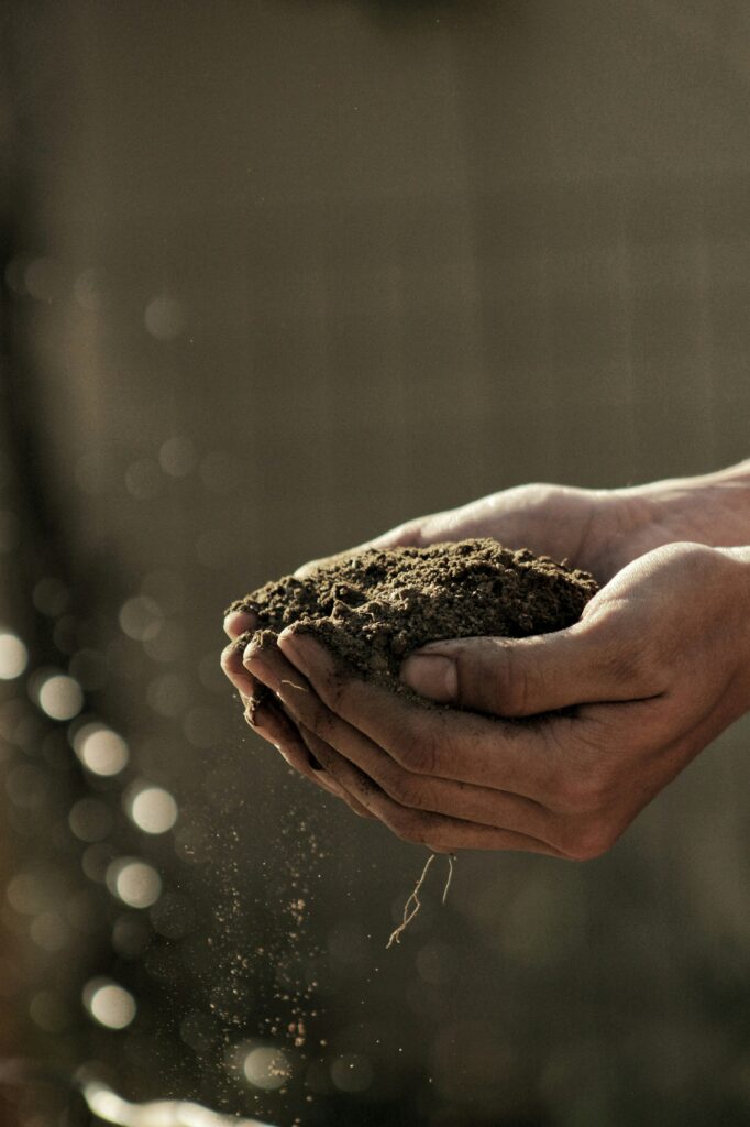 8 Criterios para elegir un proveedor de bioplásticos para una aplicación industrial